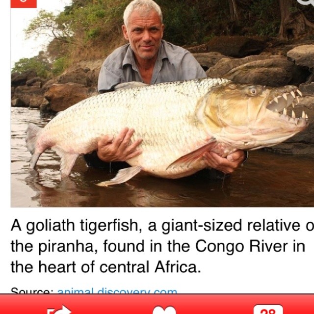 Photo:  Jeremy Wade, from River Monsters